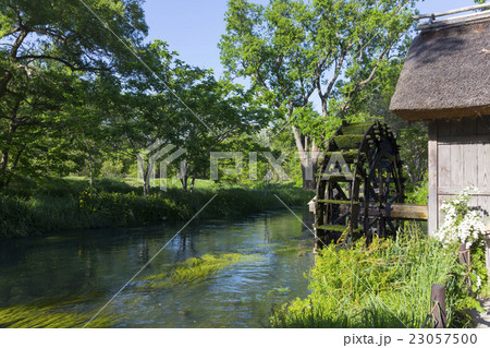 安曇野わさび田湧水群 23057500