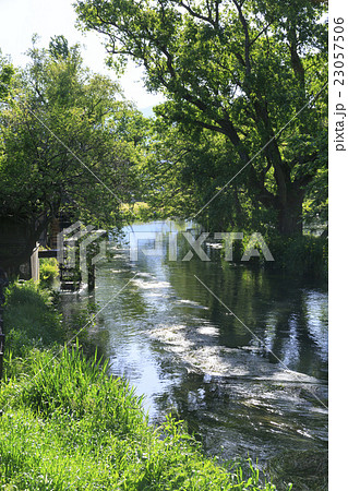 安曇野わさび田湧水群 23057506