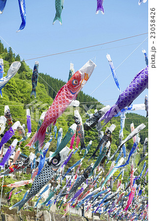 杖立温泉の鯉のぼり 23058426