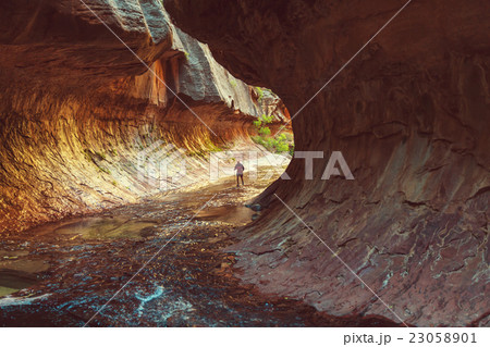 Canyon in Zion 23058901