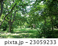 鮮やかな緑の中で 23059233