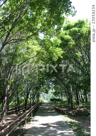 新鮮な空気をたくさん吸って 23059234