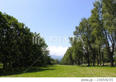 緑と空の下で 23059235