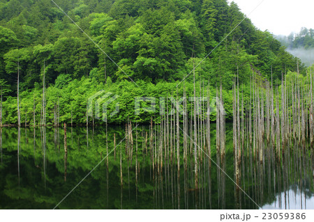 初夏早朝の自然湖　御岳自然湖  滝越の自然湖 23059386