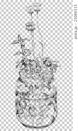 Illustration of flower pen drawing in a bottle Illustration of flower pen drawing in a bottle 23060315