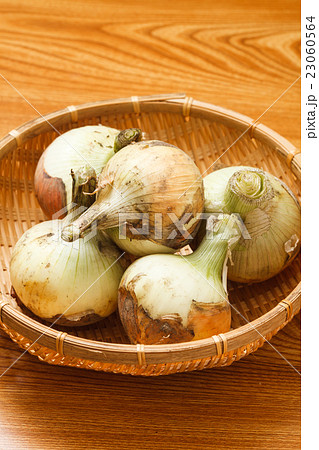 新たまねぎ 新たまねぎ 23060564