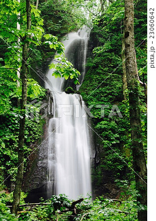 春の奥入瀬渓谷（雲井の滝） 23060642
