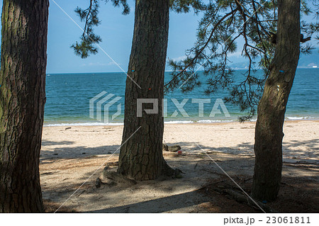 気比の松原 23061811