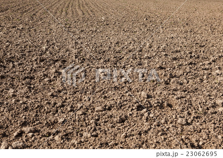 out on the earth field 23062695