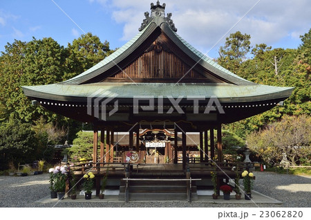 梅宮大社 舞殿 梅宮大社 舞殿 23062820