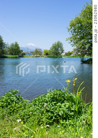 中郷温水池と富士山 中郷温水池と富士山 23062980