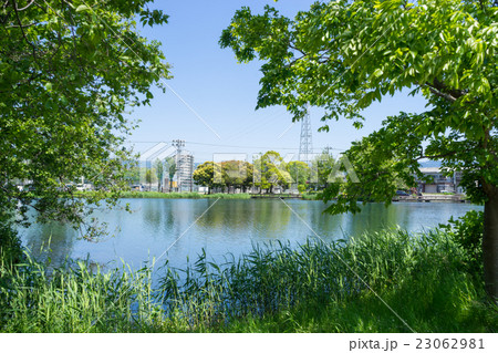 中郷温水池 23062981