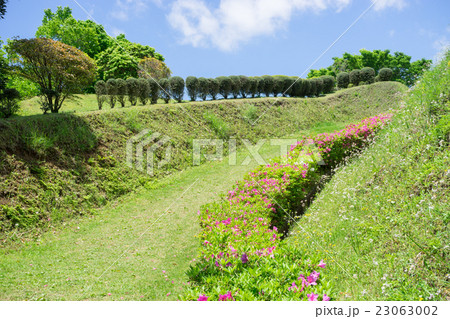 山中城跡公園の散策路 23063002