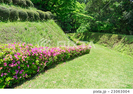 山中城跡公園の散策路 23063004