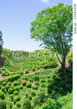 山中城　二ノ丸から見た西ノ丸畝堀の風景 23063006