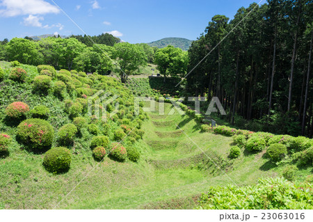 山中城 西ノ丸畝堀 山中城 西ノ丸畝堀 23063016