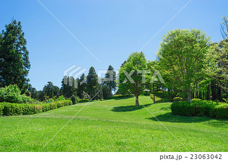 山中城跡公園の広場 23063042