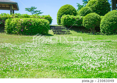 山中城跡公園　出丸御馬場跡周辺の広場 23063049