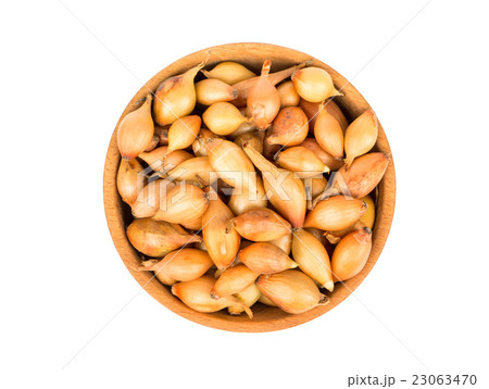 Seeds of onion in a bowl 23063470