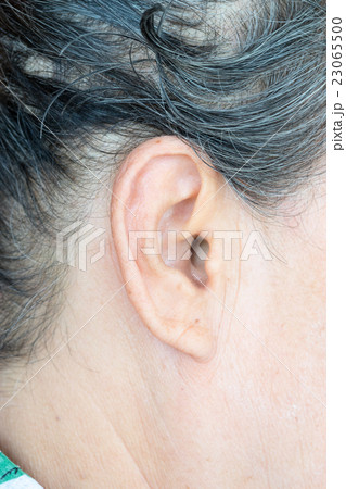 Close up on an ear of an asian elder 23065500