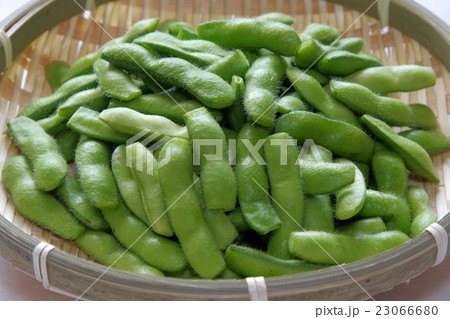 えだまめ 23066680