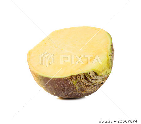 Swede isolated on the white background Swede isolated on the white background 23067874