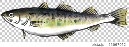 Fish under ice 23067952