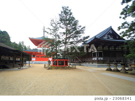 高野山 金剛峯寺 御影堂 三鈷の松 金堂 根本大塔の写真素材