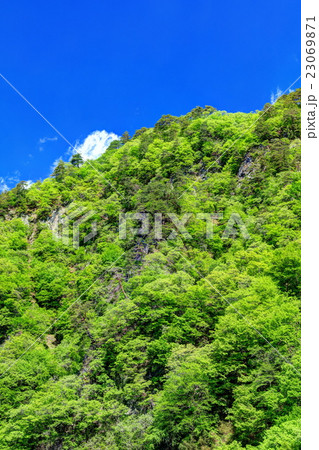新緑に覆われる吾妻峡屏風岩 新緑に覆われる吾妻峡屏風岩 23069871