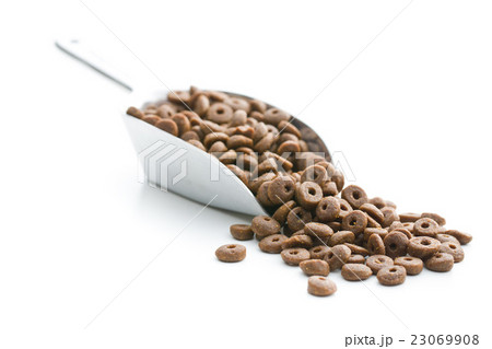 Dry kibble dog food. 23069908