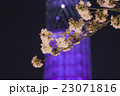 ソメイヨシノと東京スカイツリー  ソメイヨシノと東京スカイツリー  23071816