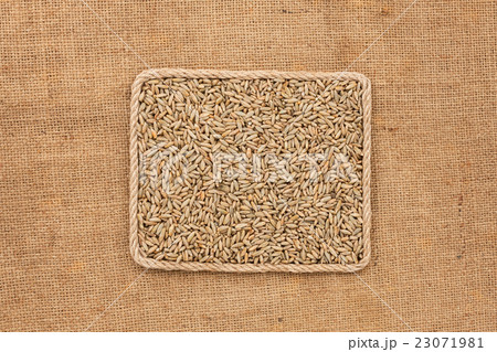 Frame made of rope with rye grains on sackcloth Frame made of rope with rye grains on sackcloth 23071981