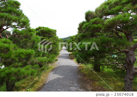 修学院離宮 松並木 修学院離宮 松並木 23074018