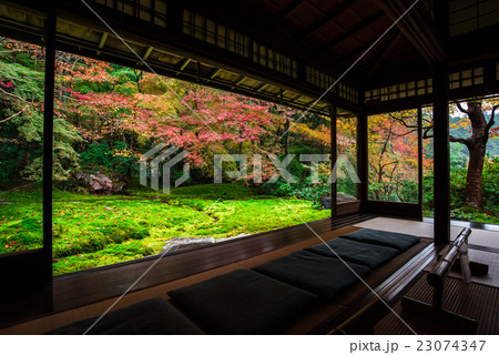 瑠璃光院　書院一階から眺める瑠璃の庭 23074347