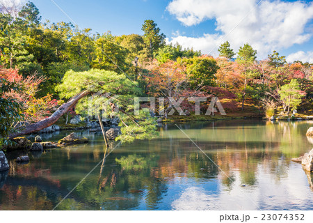 天龍寺　曹源池庭園の紅葉 23074352