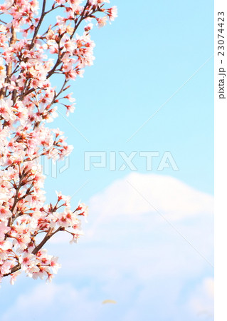 桜と富士山 桜と富士山 23074423