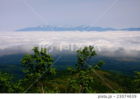 昆布岳から見る初夏のニセコ連峰 23074639