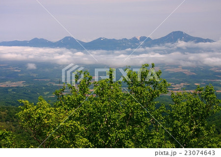 昆布岳から見る初夏のニセコ連峰 23074643
