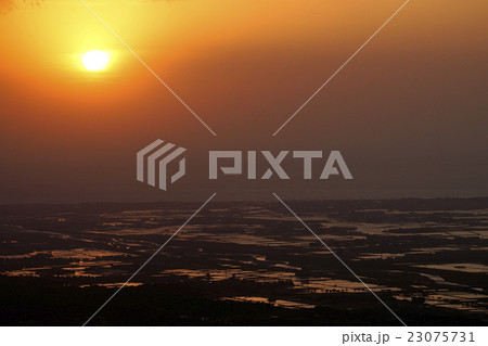 春の手取川扇状地 23075731