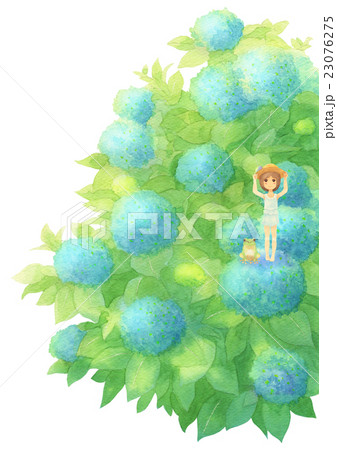 あじさいとゲスト縦（晴れブルー） 23076275