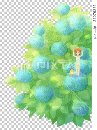 あじさいとゲスト縦（晴れブルー） 23076275