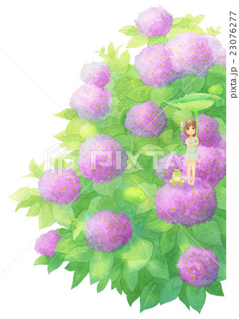 あじさいとゲスト縦(雨ピンク) あじさいとゲスト縦(雨ピンク) 23076277