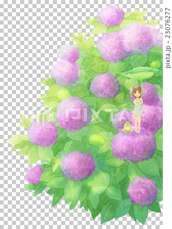 あじさいとゲスト縦(雨ピンク) あじさいとゲスト縦(雨ピンク) 23076277