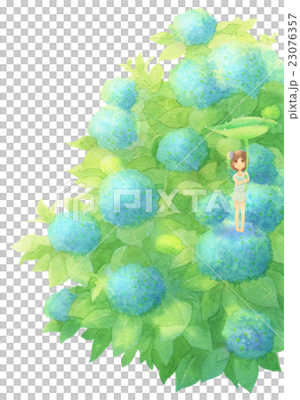 繡球花和女孩垂直（雨藍色） 23076357