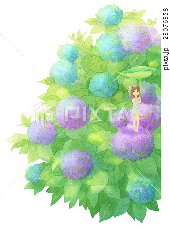 あじさいと女の子タテ 雨ミックス のイラスト素材