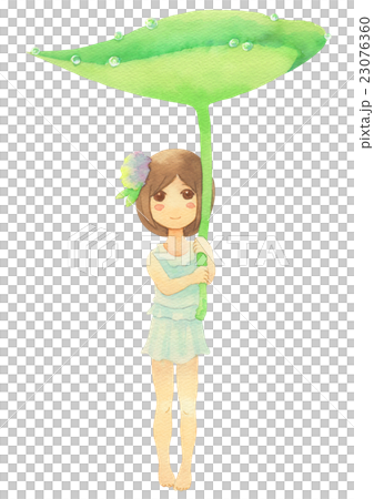 Hydrangea girl (rain) 23076360