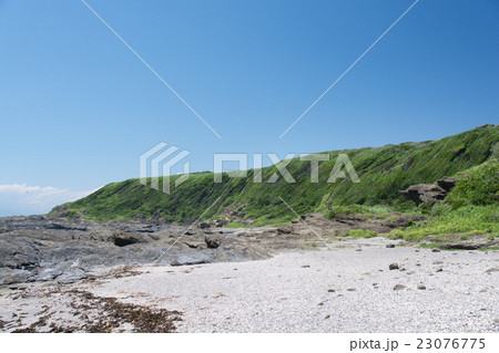 城ヶ島の海岸段丘 23076775