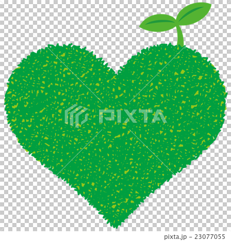 綠心和雙葉生態 綠心和雙葉生態 23077055