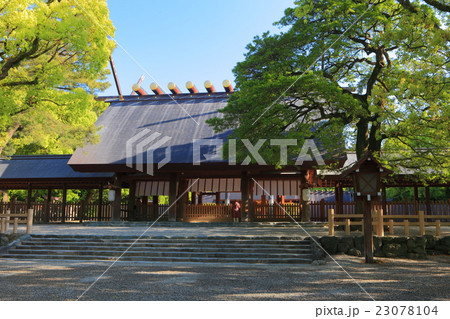 万緑の熱田神宮本宮 23078104