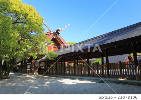 万緑の熱田神宮本宮 23078106